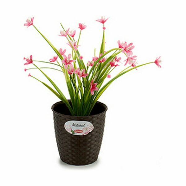 Blumentopf Stefanplast Kunststoff 14 x 13 x 14 cm (12 Stück) – Bild 3