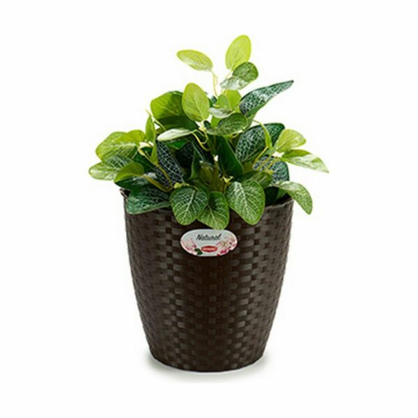 Blumentopf Stefanplast Kunststoff 24 x 22 x 24 cm (6 Stück) – Bild 3