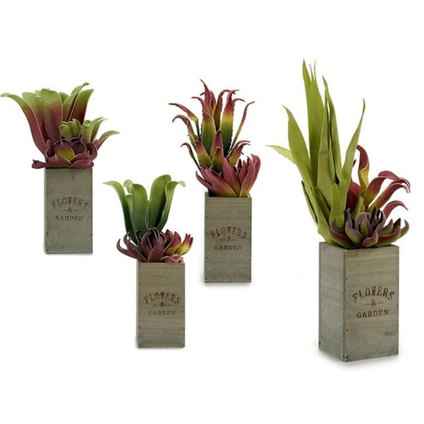 Dekorationspflanze Ibergarden Flowers Garden 10 x 50 x 10 cm Braun grün (4 Stück) – Bild 2
