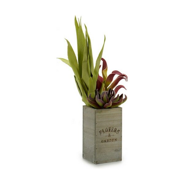 Dekorationspflanze Ibergarden Flowers Garden 10 x 50 x 10 cm Braun grün (4 Stück) – Bild 3