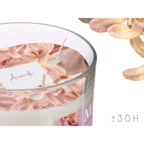 Duftkerze Acorde Maylu 400 g (6 Stück) – Bild 4