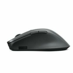 Mouse Lenovo 4Y51J62544 Grau Schwarzweiß 2400 dpi