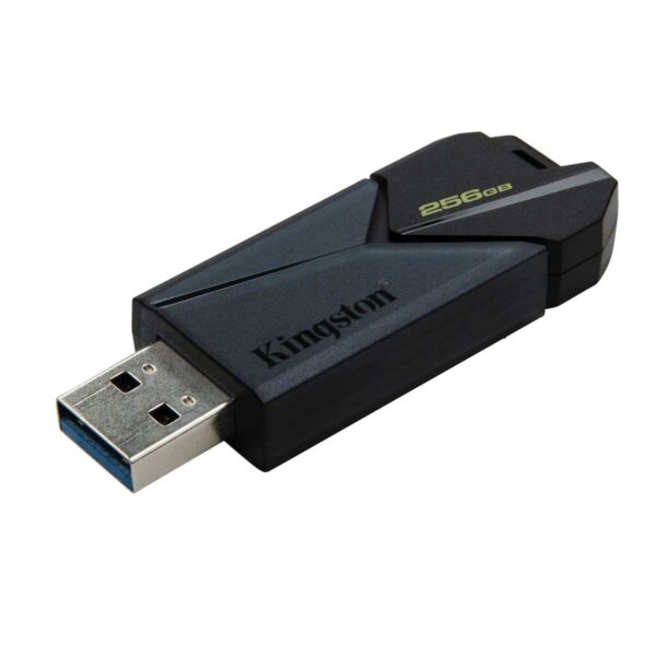 USB Pendrive Kingston DTXON/256GB Schwarz 256 GB (1 Stück) – Bild 2