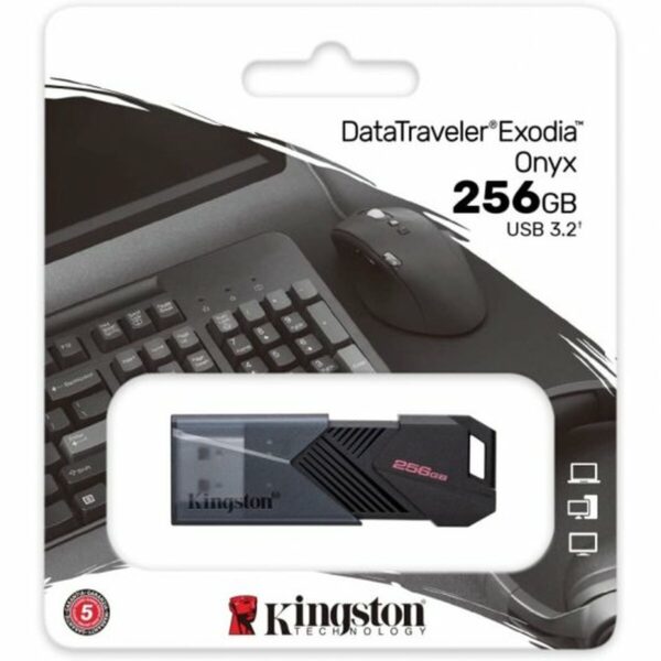 USB Pendrive Kingston DTXON/256GB Schwarz 256 GB (1 Stück) – Bild 4