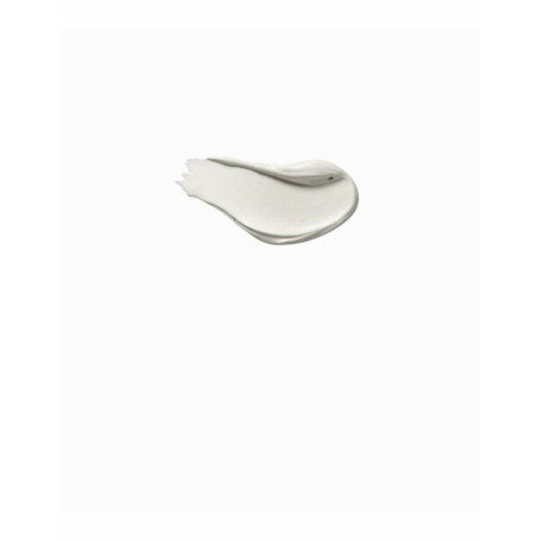 Gesichtsconcealer Payot Pâte Grise – Bild 2