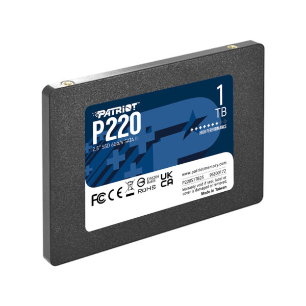 Festplatte Patriot Memory P220 1 TB SSD – Bild 3