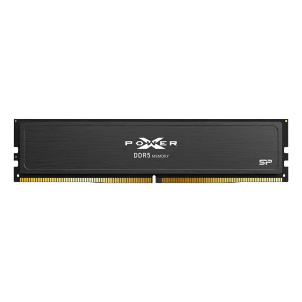RAM Speicher Silicon Power SP064GXLWU60BFDJ 64 GB DDR5 6000 MHz CL38