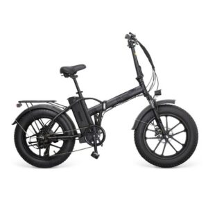 Elektrisches Fahrrad Youin BK1201B TEXAS II Schwarz 250 W 10400 mAh 20″