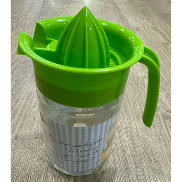 Saftpresse Titiz Glas 0,6 L (24 Stück) – Bild 4