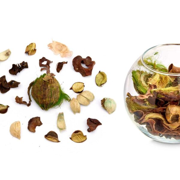 Deko-Blumen Jasmin 200 g grün natürlich (12 Stück) – Bild 2