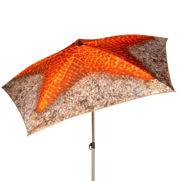 Solskærm Aktive 180 x 210 x 180 cm 180 x 215 x 180 cm (6 Stück) – Bild 2
