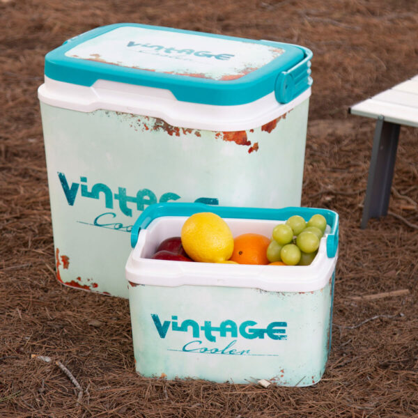 Robuste tragbare Kühlbox Aktive 5 L 28 x 19 x 21 cm Blau (6 Stück) – Bild 3