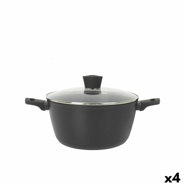 Topf mit Deckel MasterChef 28 cm (4 Stück)