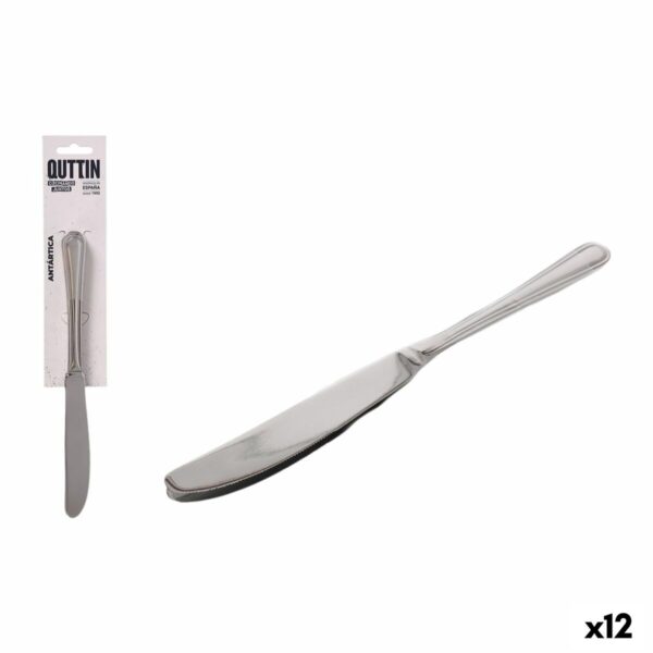 Messerset Quttin Antártica Silberfarben Edelstahl 21,6 x 1,8 cm 2 Stücke (12 Stück)