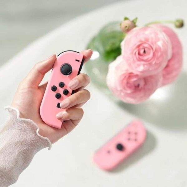 Controller für XBox One Nintendo