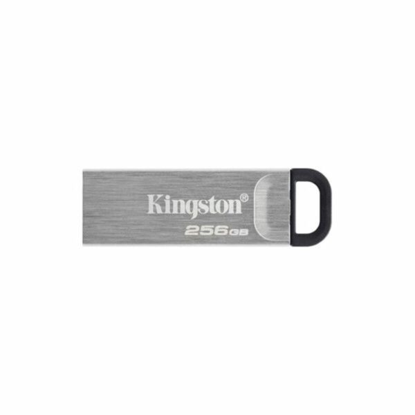 USB Pendrive Kingston DTKN/256GB USB 3.2 Silberfarben 256 GB – Bild 2