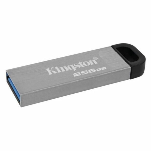USB Pendrive Kingston DTKN/256GB USB 3.2 Silberfarben 256 GB – Bild 3