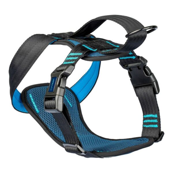 Hundegeschirr Company of Animals Carsafe Crash Tested Blau 60 cm Unterwegs L – Bild 2