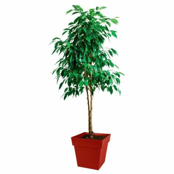 Blumentopf EDA   Kunststoff 39 cm – Bild 2