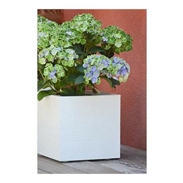 Blumentopf EDA Weiß Kunststoff 5 cm – Bild 2