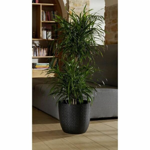 Blumentopf EDA Opal Chape Schwarz Ø 29,5 cm – Bild 2