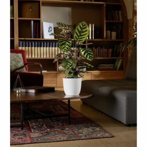 Blumentopf EDA Opal Chape Weiß Ø 29,5 cm – Bild 3
