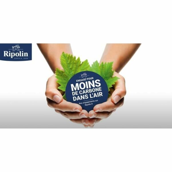 Grundierung Ripolin Beige Mattierend 10 L – Bild 4