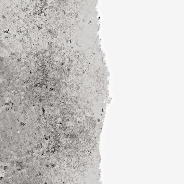 Grundierung Ripolin Weiß Mattierend 0,75 L – Bild 2