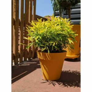Blumentopf Riviera Gelb Ø 60 cm