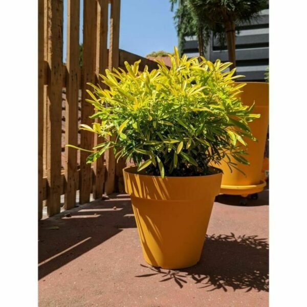 Blumentopf Riviera Gelb Ø 60 cm