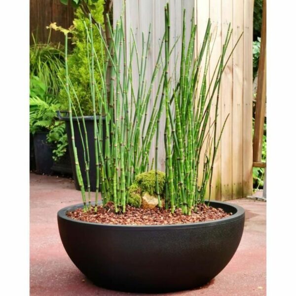 Blumentopf Riviera RIVIERA Schwarz Ø 40 cm – Bild 2