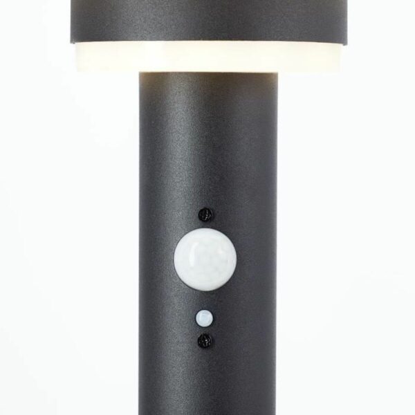 Solarlampe Brilliant Schwarz 3 W – Bild 3