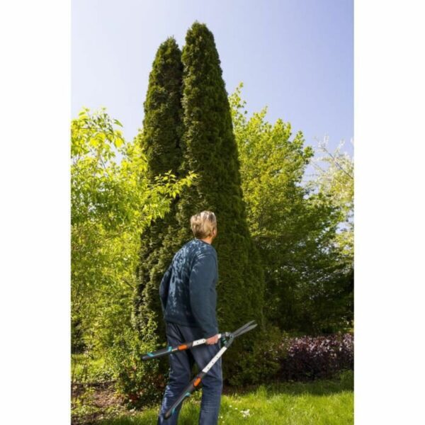 Baumschere Gardena 25 cm Bypass – Bild 3