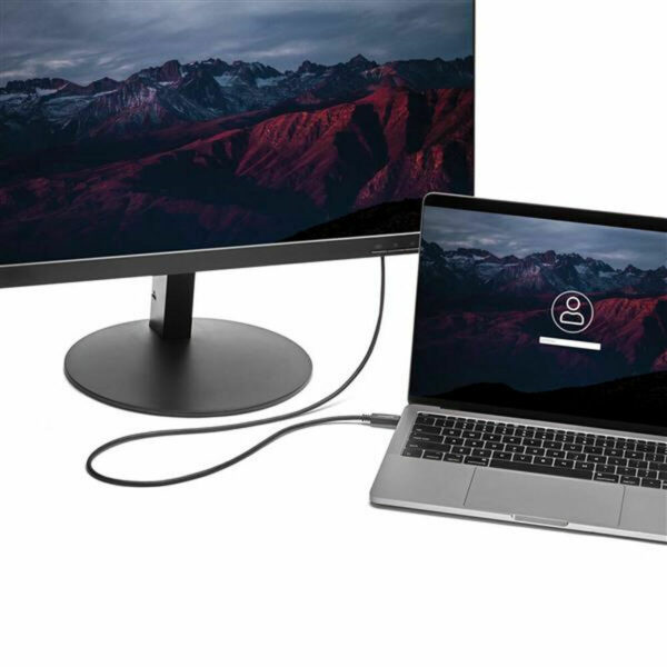 USB C zu VGA-Kabel Startech CDP2VGAMM2MB         (2 m) Schwarz – Bild 3