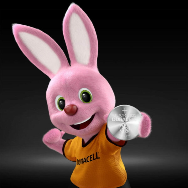 Batterien DURACELL 3V (10 Stück)