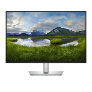 Monitor Dell P2425  24,1″ HD WUXGA 100 Hz