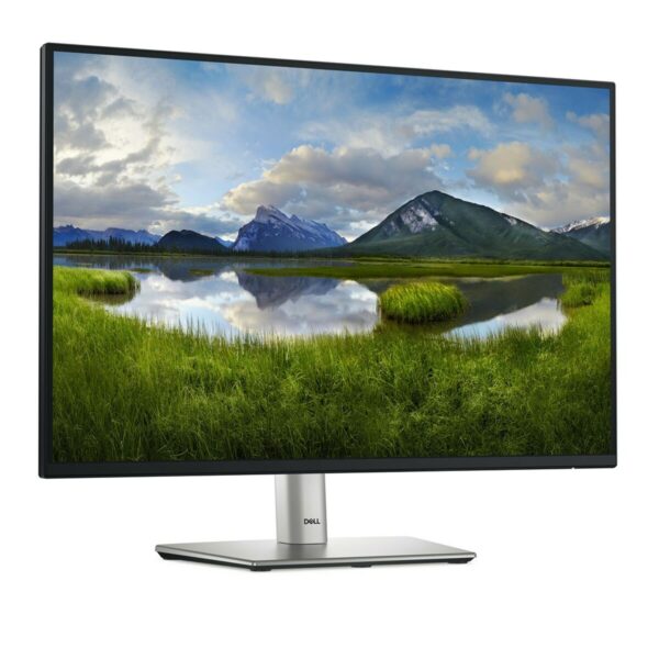 Monitor Dell P2425  24,1" HD WUXGA 100 Hz – Bild 4