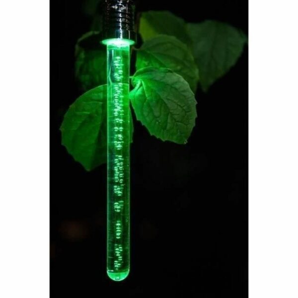 Solarlampe Garden ID Crystal – Bild 2