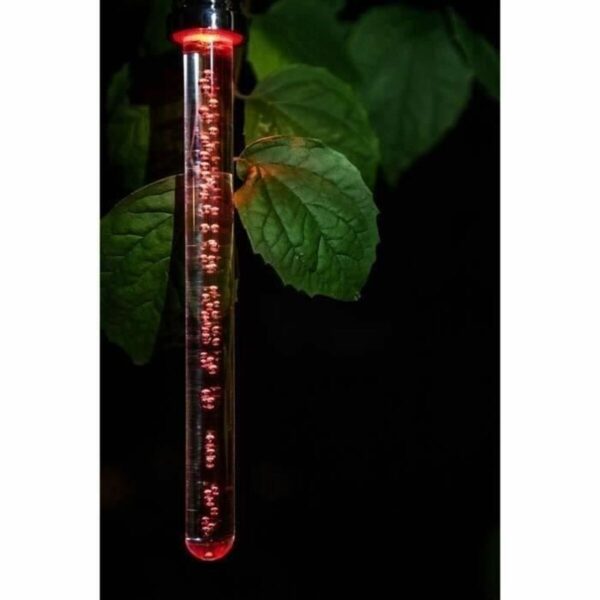 Solarlampe Garden ID Crystal – Bild 3