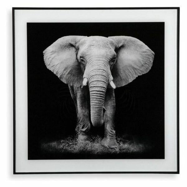 Bild Versa (2 x 50 x 50 cm) – Bild 7