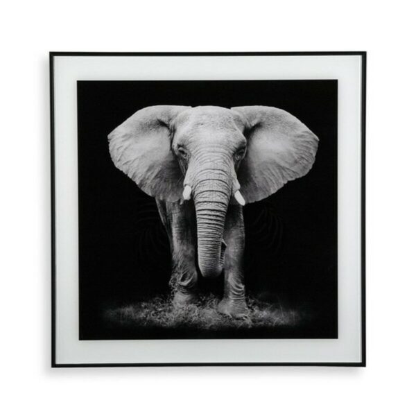 Bild Versa (2 x 50 x 50 cm) – Bild 3