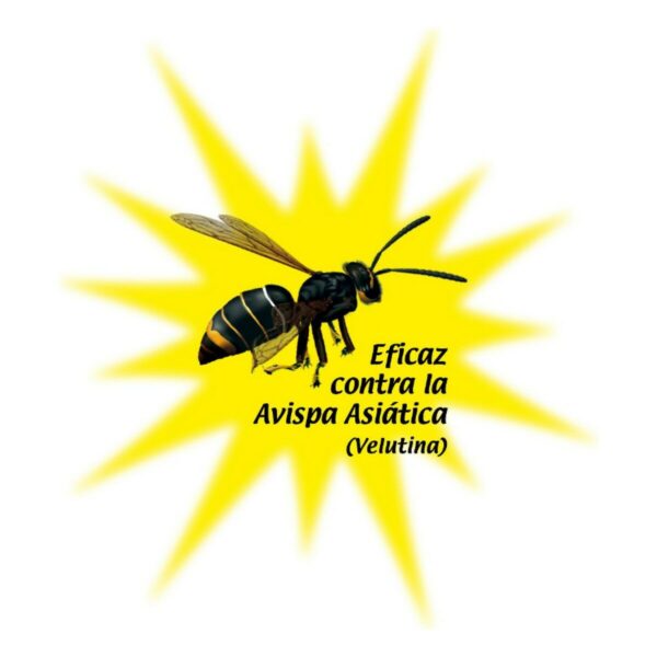 Insektizid Massó Wespen 750 ml – Bild 3