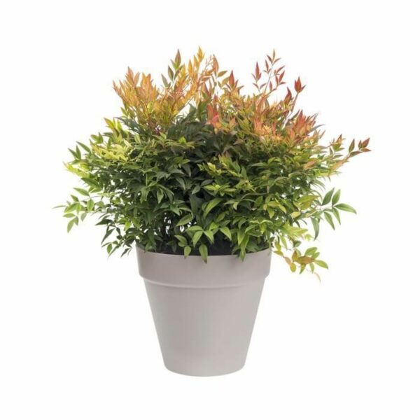 Blumentopf Elho Urban Grau rund Ø 20 cm – Bild 2
