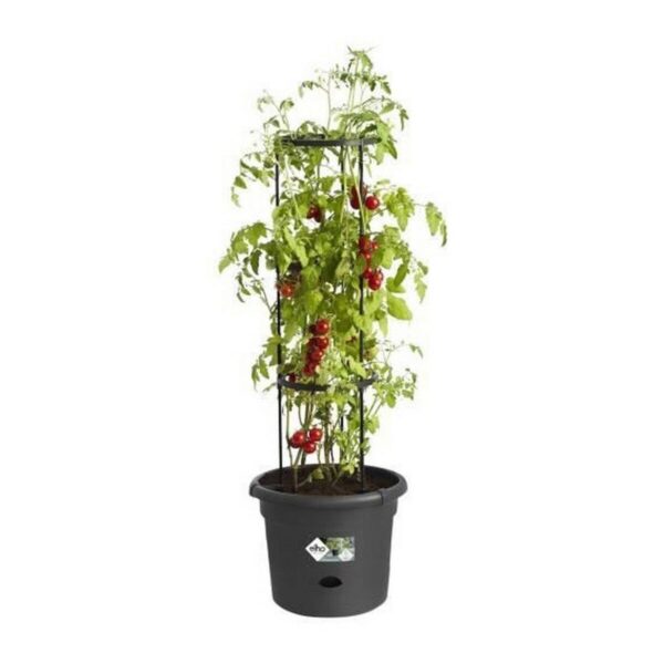 Blumentopf Elho Basics Tomato Schwarz (Ø 33 cm) – Bild 2