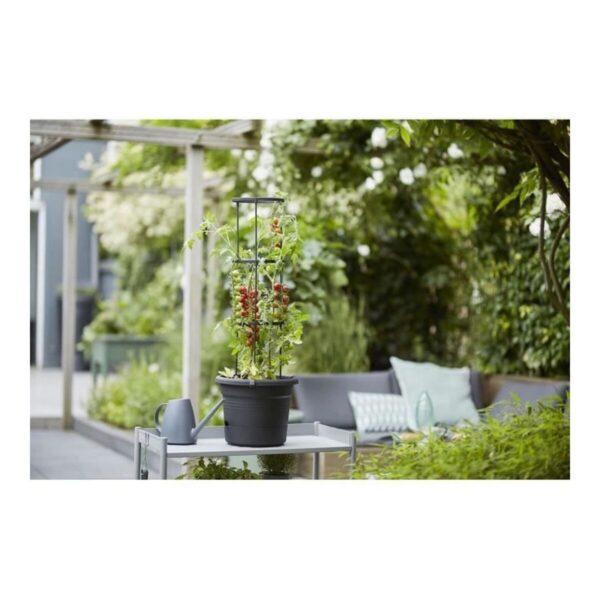 Blumentopf Elho Basics Tomato Schwarz (Ø 33 cm) – Bild 5