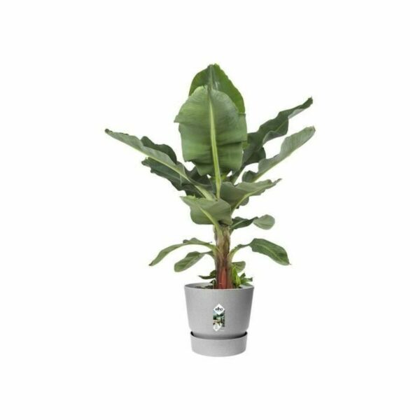 Blumentopf Elho Greenville Ø 24,48 cm Kunststoff – Bild 5