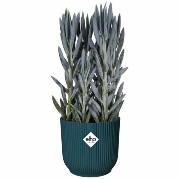 Blumentopf Elho   Ø 22 cm kreisförmig Dunkelblau Kunststoff – Bild 4