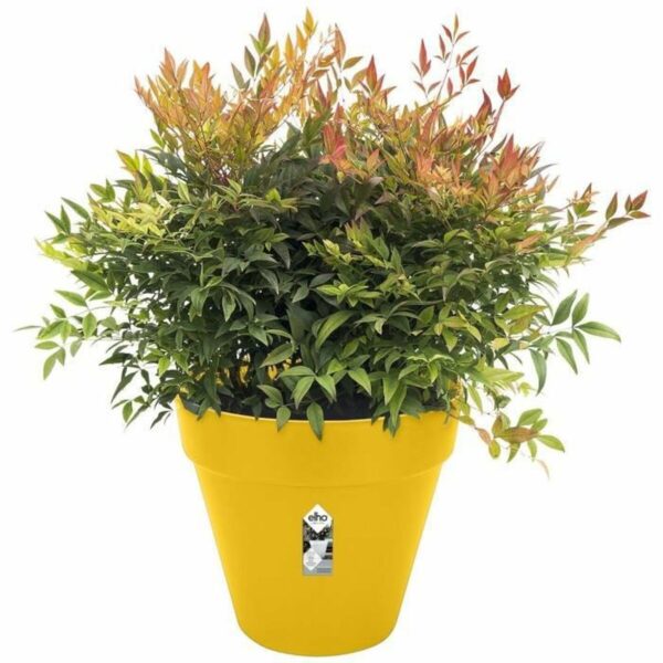 Blumentopf Elho Ø 50 cm Kunststoff rund kreisförmig Moderne – Bild 3