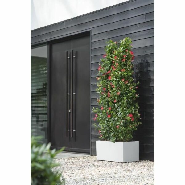 Blumentopf Elho Ø 78 cm Weiß Kunststoff Moderne – Bild 2