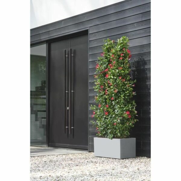 Blumentopf Elho 79 x 35 x 39 cm Kunststoff Moderne – Bild 5